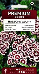 Sweet William Holborn Glory Seeds